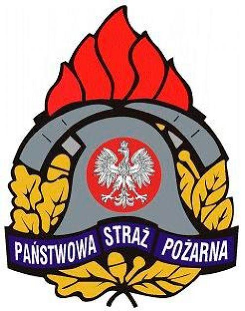 Powiatowe Obchody Dnia Strażaka. 