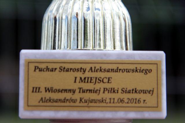 Strażacka reprezentacja wygrała Wiosenny Turniej Piłki Siatkowej