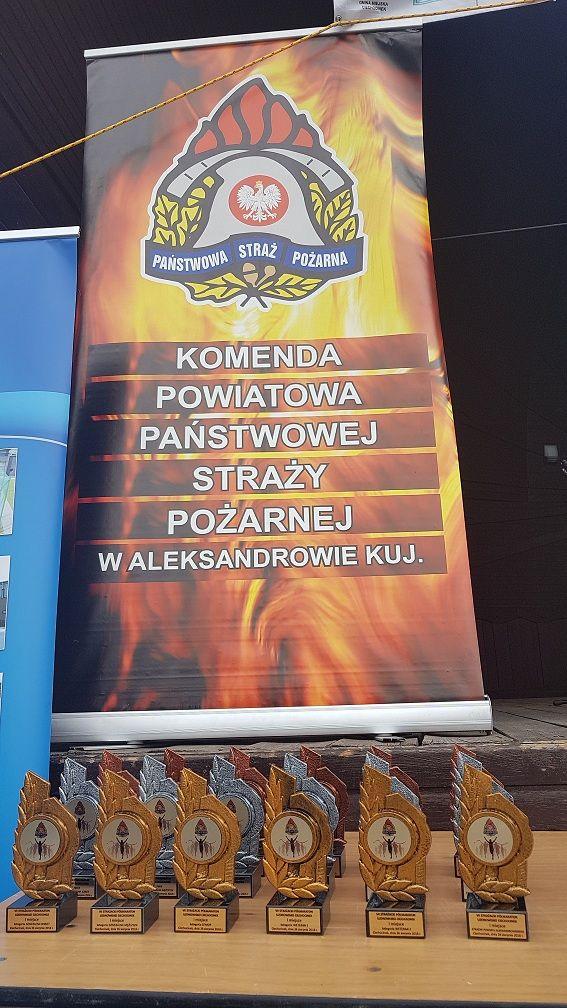VII Strażacki Półmaraton Uzdrowisko Ciechocinek - 26 sierpień 2018 r.